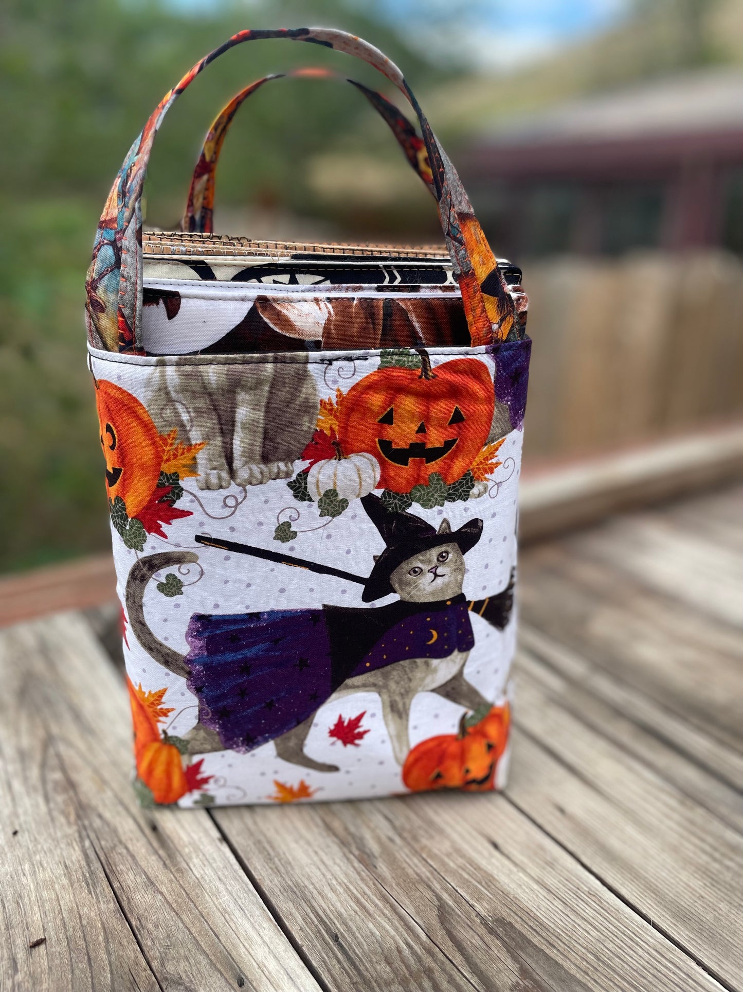 Small Bag Halloween Pumpkin and Skeleton Cute inner fabric